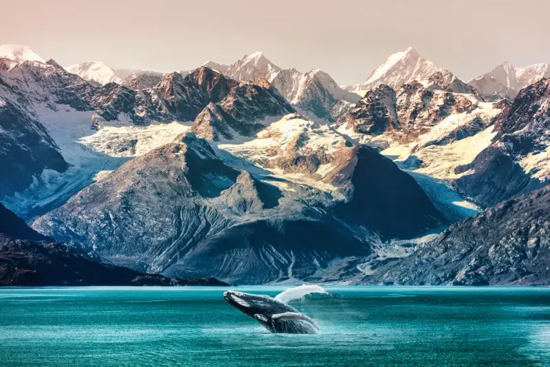A No-Fly Alaska Rail & Cruise Expedition — supporting photo