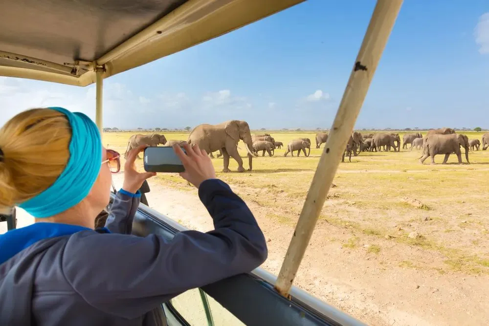A South African Honeymoon Safari Journey — supporting photo