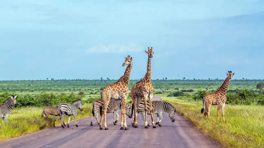Africa