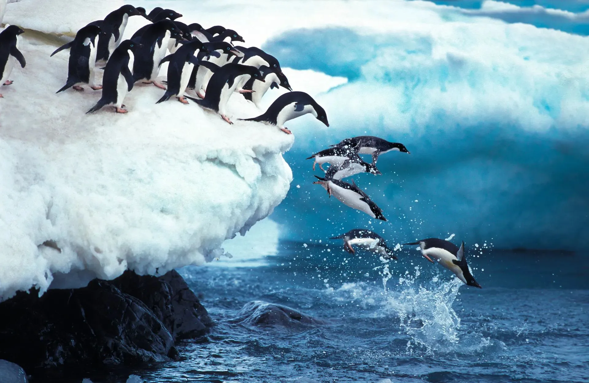 Antarctica