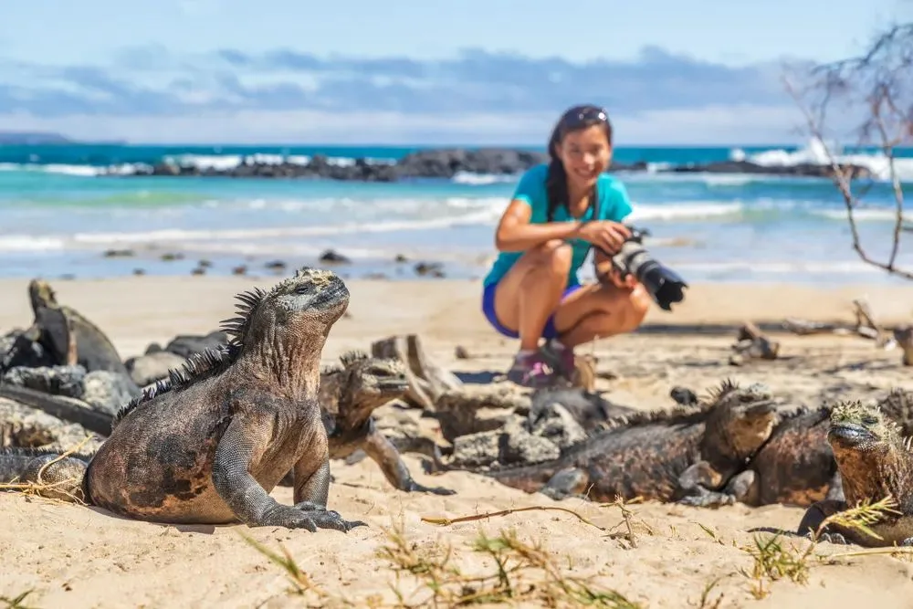 The Galápagos