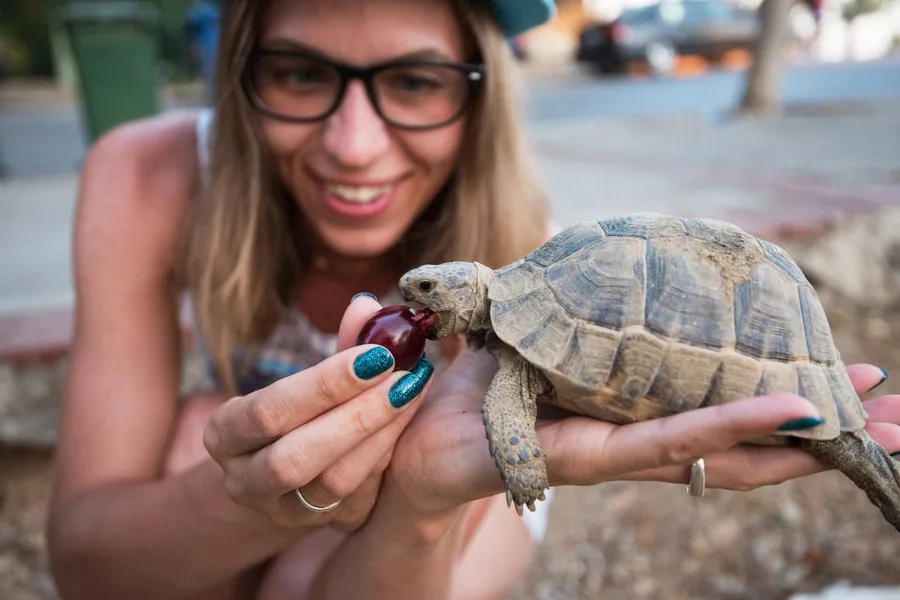 Galapagos Islands — gallery 1