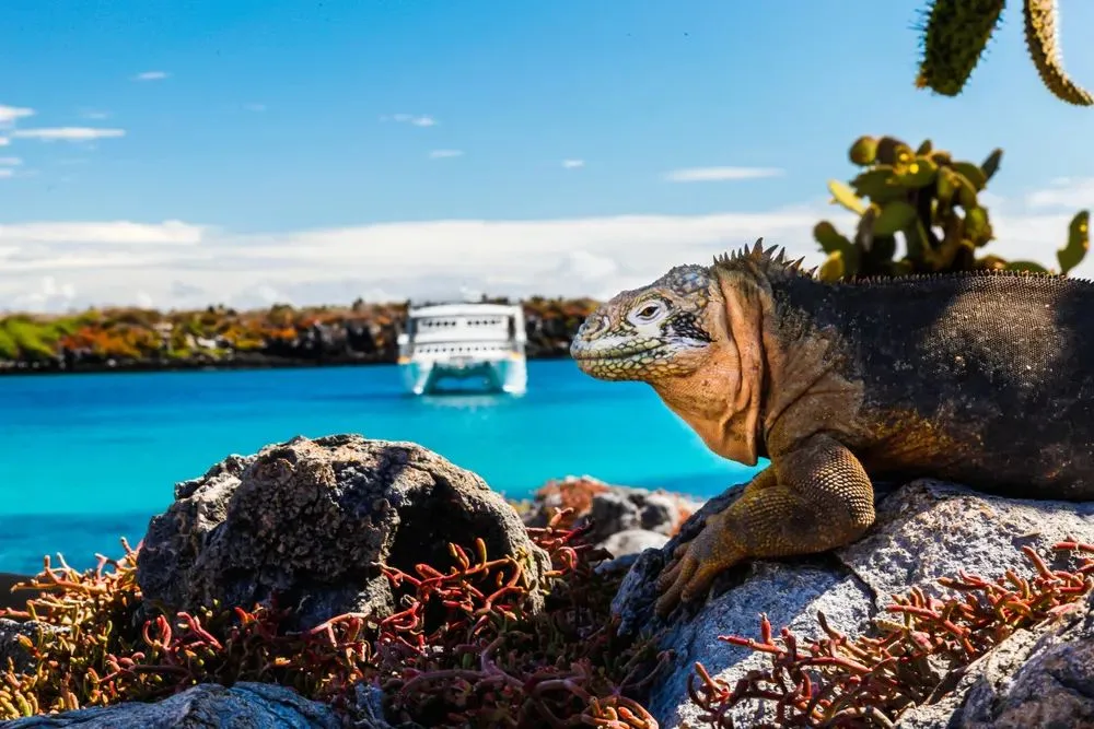 Galapagos Islands — gallery 3