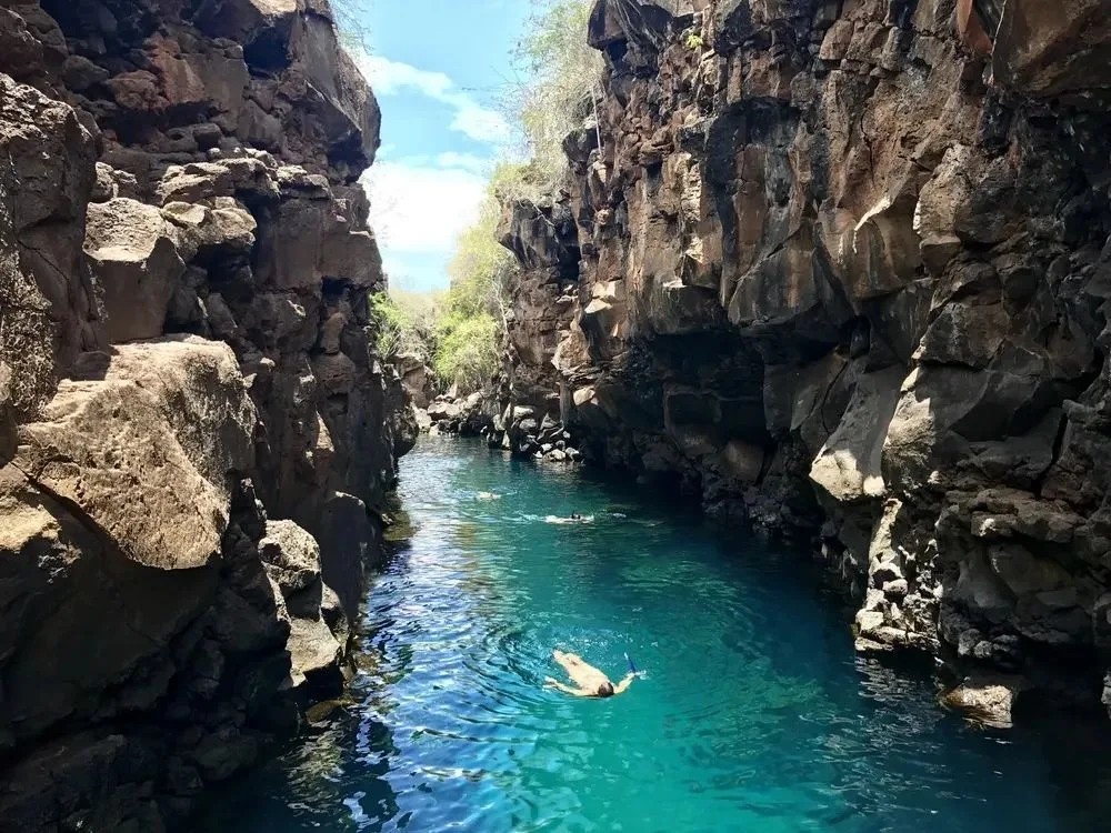 Galapagos Islands — gallery 5