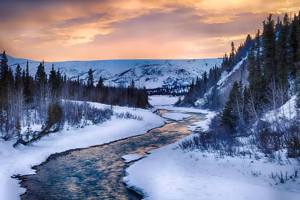 12 to 17 Night Alaska Cruise Tour moment — supporting