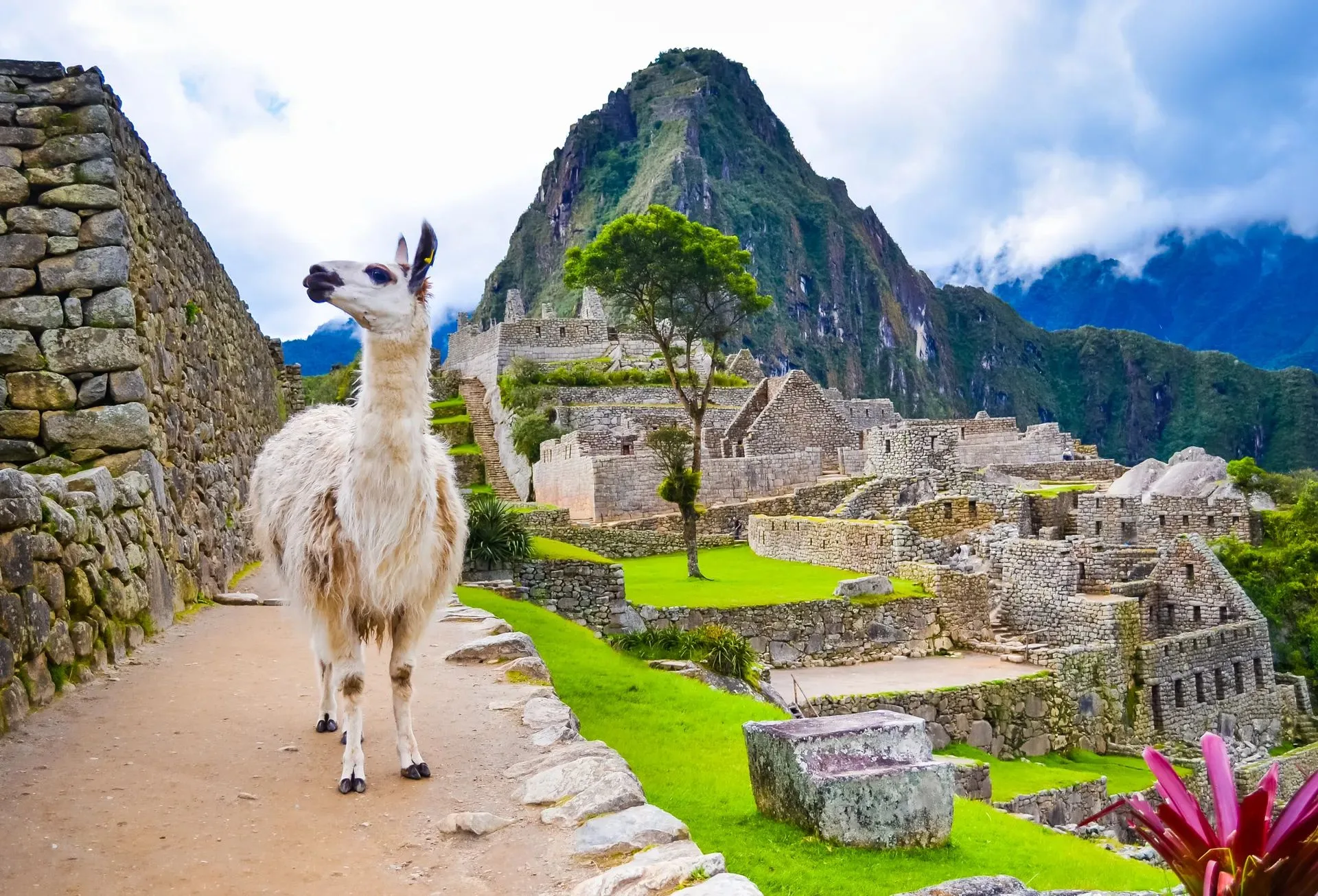16 Night Galapagos Northern Loop & Machu Picchu moment — supporting
